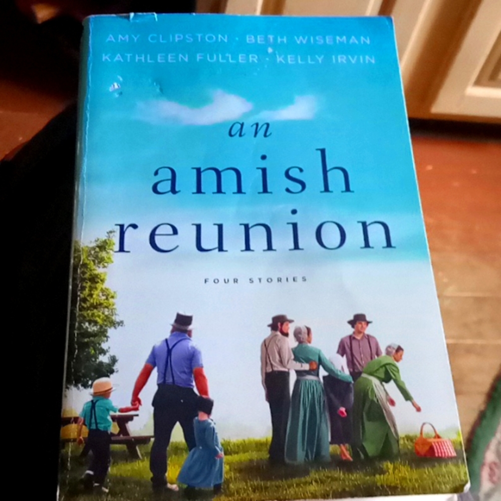Amish Novel